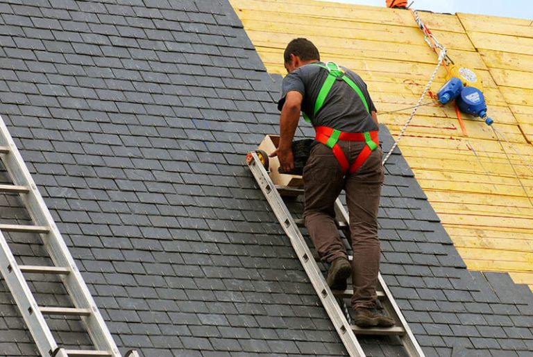 Shingle Roof Installation Services Wesley Chapel FL